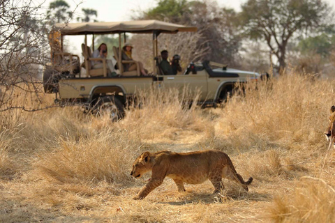 Greatest 5 Days Tanzania Lodge Safari