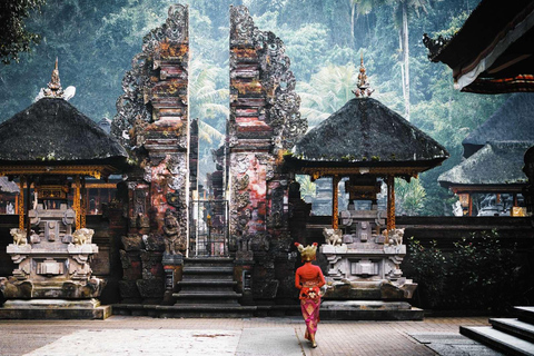 Ubud: Private Half-Day Tour Rice Terrace, Temple & Waterfall Private Ubud Half-Day Tour (Without Entrance Ticket)