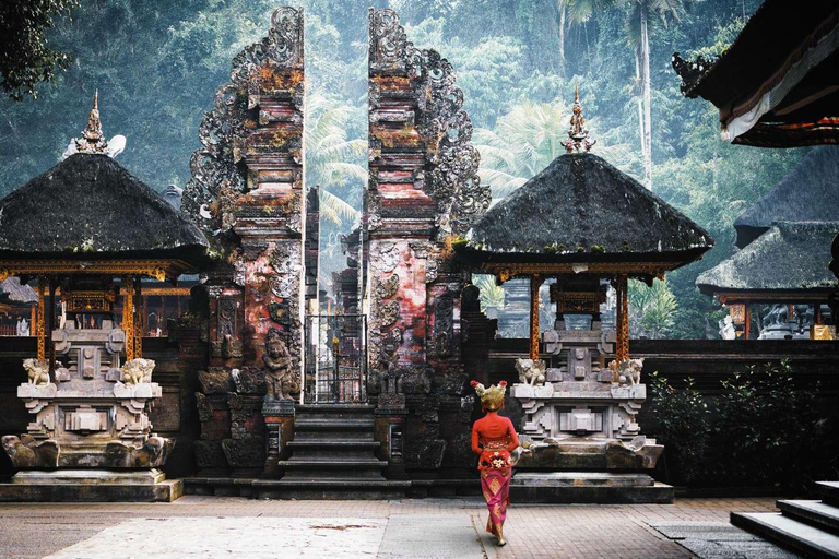 Ubud: Private Half-Day Tour Rice Terrace, Temple & Waterfall Private Ubud Half-Day Tour (Without Entrance Ticket)