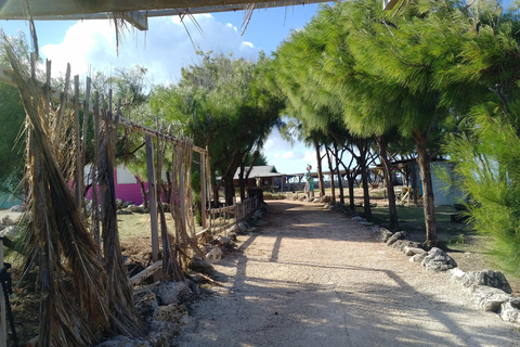 Barbados: Private Island Tour with Snacks and Water