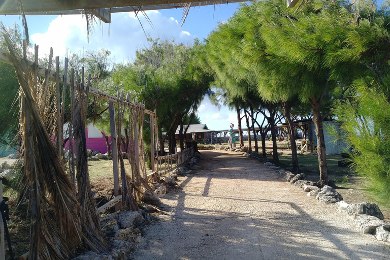 Barbados: Private Island Tour with Snacks and Water