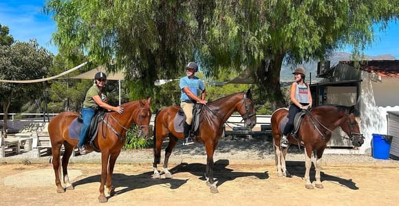 Alicante: Sierra Helada Natural Park Horseback Ride