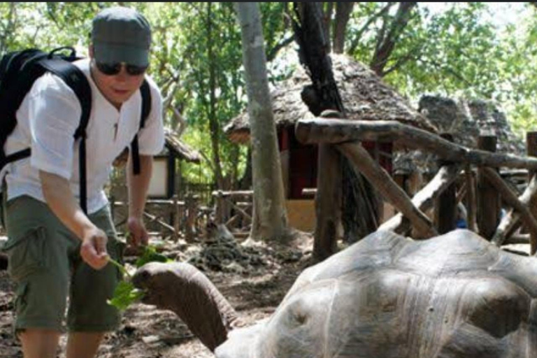 Zanzibar: Jozani forest, stone town tour & Prison island Private tour With Hotel pick up and drop off included