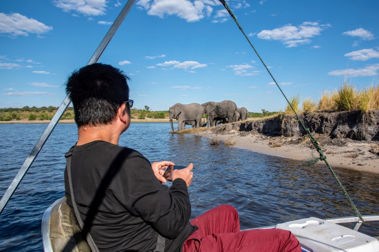 De Livingstone et Victoria Falls: Rafting et safariDe Livingstone: Rafting en eau vive + Safari Chobe