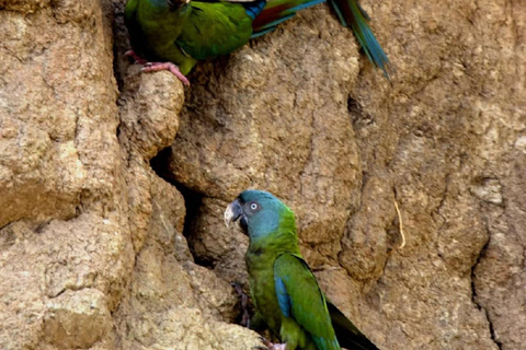 Tambopata: 2-Day Wildlife Tour With Jungle Lodge Stay