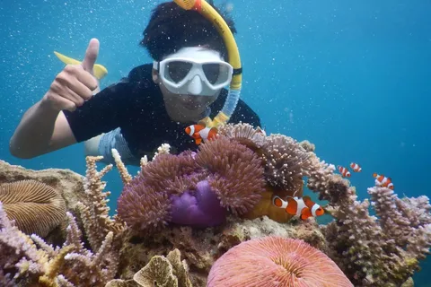 Snorkelling & islandhopping tour Karimunjawa (private tour)