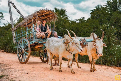 Sigiriya, Dambulla, Village Safari Day Tour including lunch