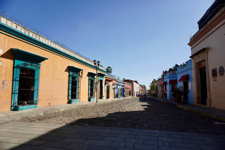 Private Oaxaca Historic Tour - Best Rated