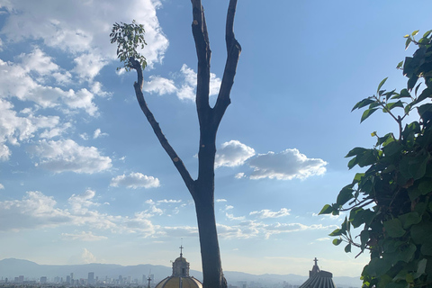 Excursion à Teotihuacan, Basilique et dégustation de Mezcal.