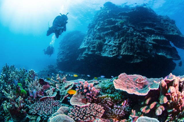 Visit Two day semi-private scuba diving experience in Agnes Water, Queensland, Australie