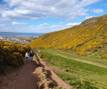 Edinburgh: Guided Hike to Arthur's Seat and Holyrood Park
