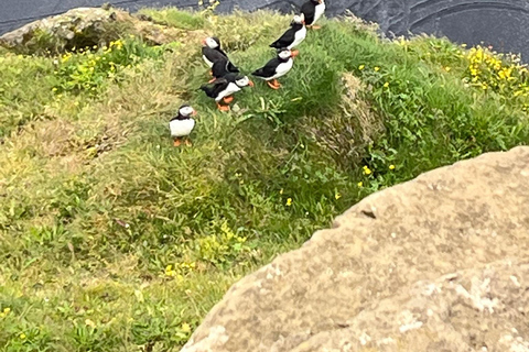 Tour privado por la Costa Sur de Islandia