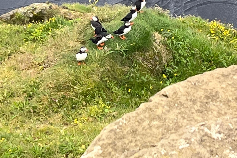 Privat tur på Islands sydkust