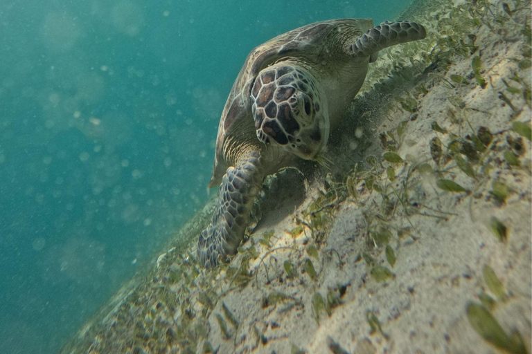 Excursão de um dia a Port Barton