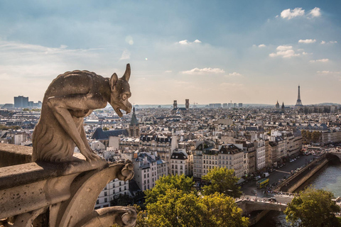 Notre Dame de Paris: Private Guided Tour Notre Dame de Paris: Semi Private Guided Tour