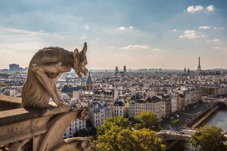 Notre Dame de Paris: Private Guided Tour Notre Dame de Paris: Private Guided Tour