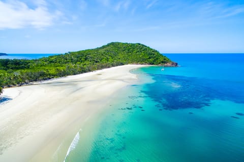 Cairns: Daintree and Mossman Gorge Tour with Cruise Option
