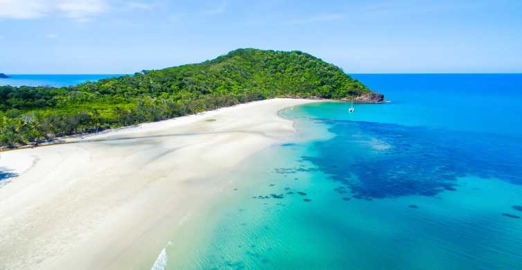 Cairns Daintree and Mossman Gorge Tour with Cruise Option