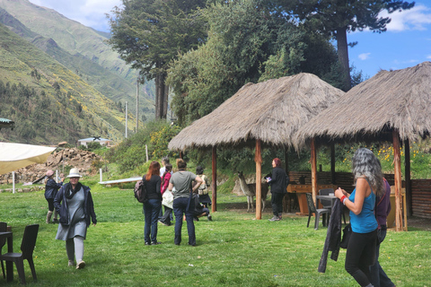 Bus Puno Cusco with Buffet Lunch