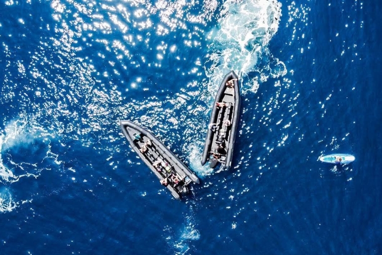 Ab Cannes: Saint-Tropez - Entdeckungstour per Boot