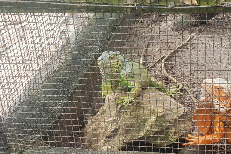 Chi so mountain _ Ta moa zoo_ Bati temple Tour