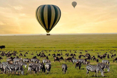 6-Day Private Wildlife and Cultural Tourism Safari