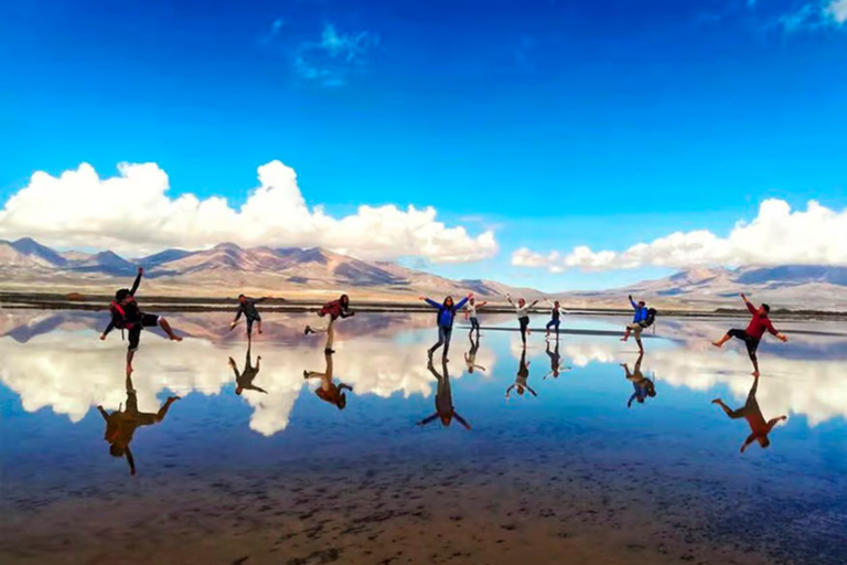 Arequipa: Salinas 2026 Tour – Wetlands, Flora, Fauna, and Volcanic Views