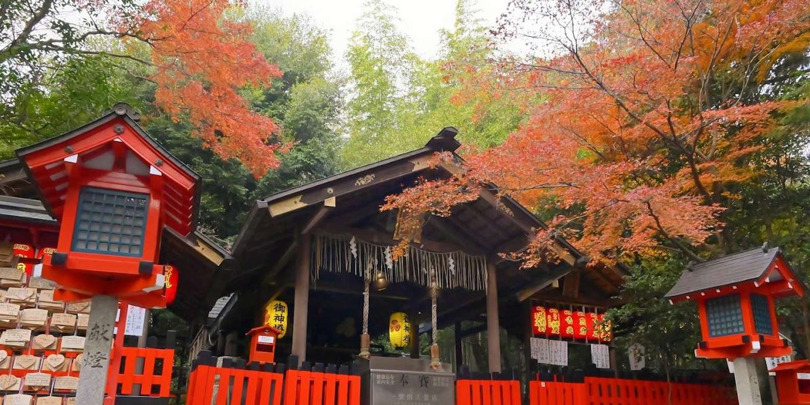 Kyoto experience — temples, geisha, bamboo grove — image 57