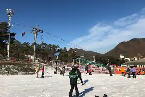 Jisan Forest Ski Resort One Day Tour