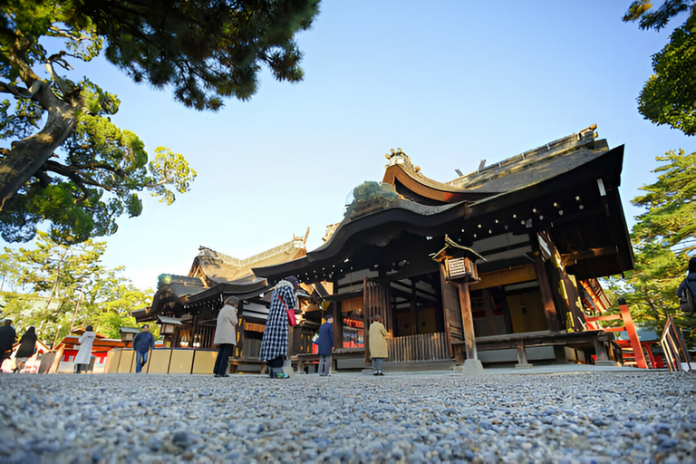 10 Days Japan Customized Tour Tokyo, Osaka etc Attractions