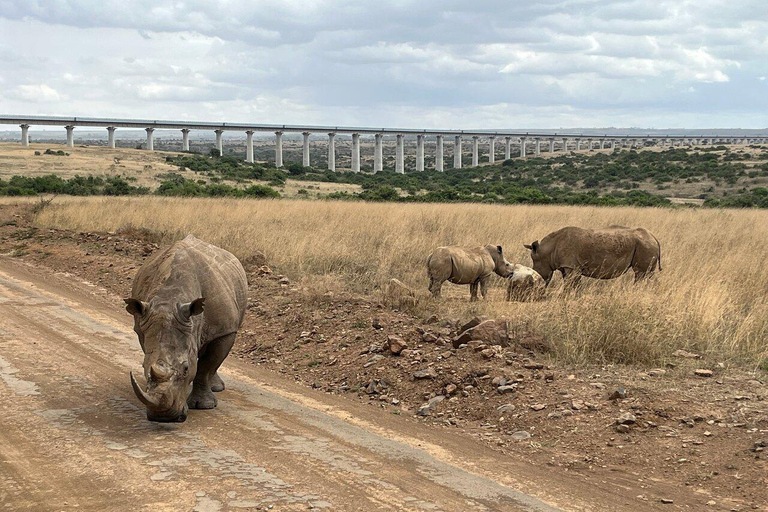 Nairobi National Park, Elephant Orphanage and Giraffe Centre Nairobi National Park, Baby Elephant and Giraffe Centre