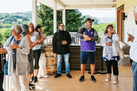 From San Jose: Small Group Napa & Sonoma Valley Wine Tour