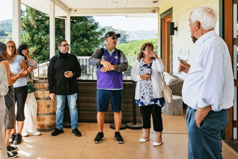 From San Jose: Small Group Napa & Sonoma Valley Wine Tour