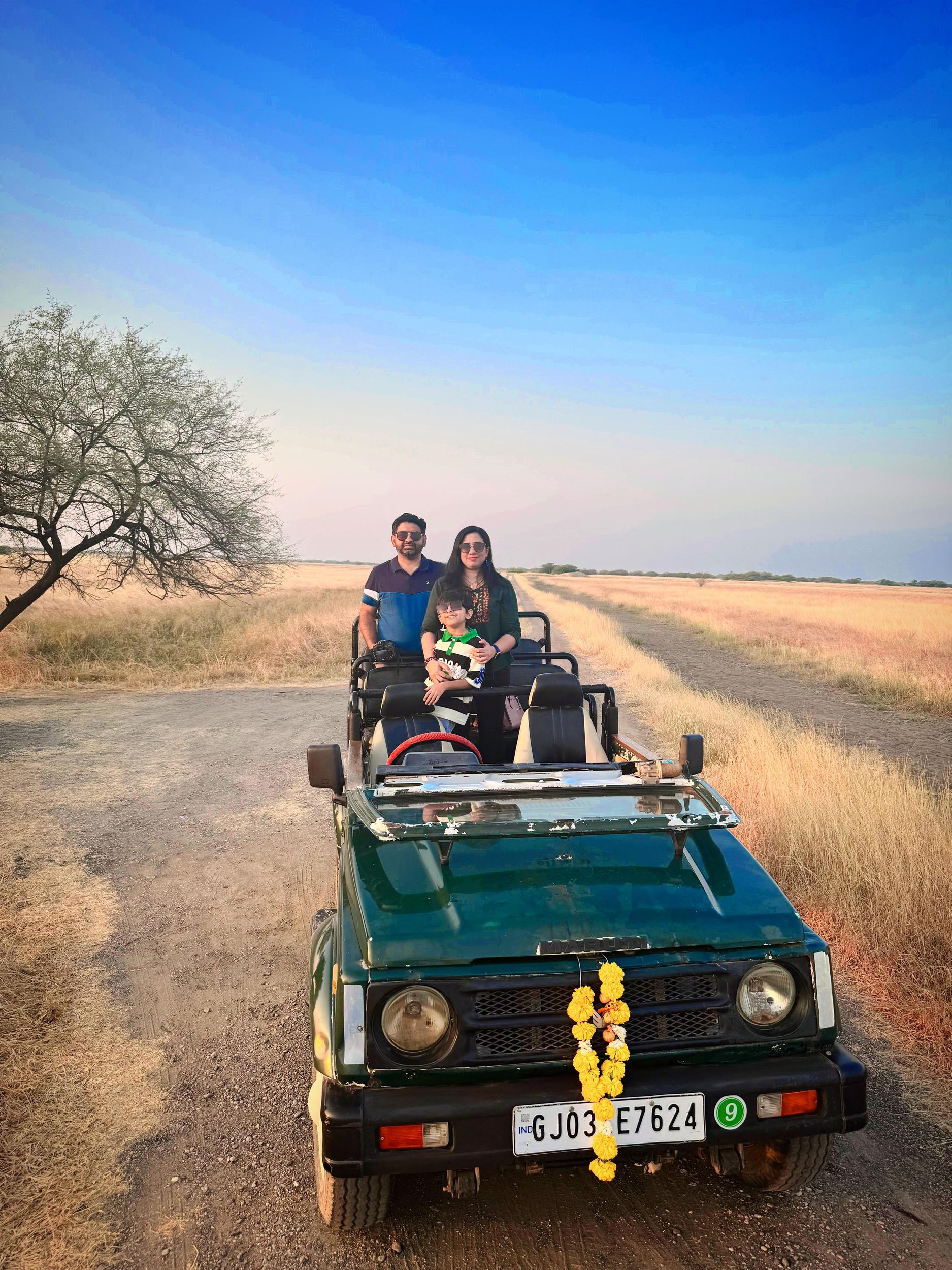 Ahmedabad: Velavadar-Nationalpark – private, geführte Safari