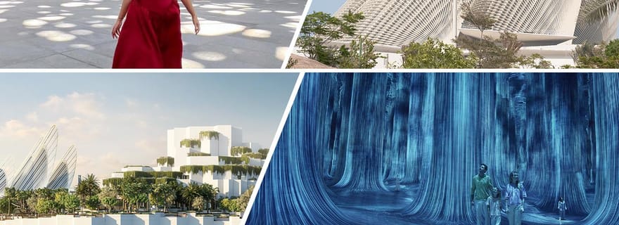 Depuis Dubaï : visite du Louvre d'Abou Dabi, de TeamLab et du musée Zayed