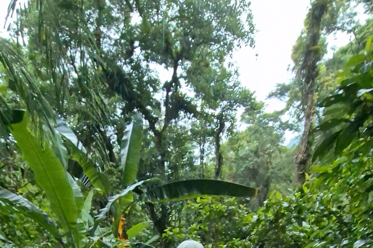 Paraty: Melancia Waterfall Trail Guided Hike with Pickup