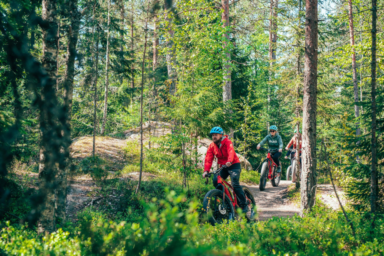 Levi: E-fatbike adventure with campfire and scenic views