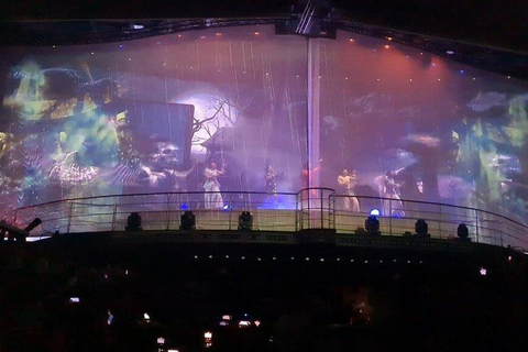 Punta Cana: Coco Bongo Nightclub Entry with Transfers