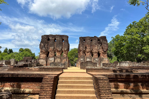 Polonnaruwa Ancient City & Minneriya Safari Full-Day Tour