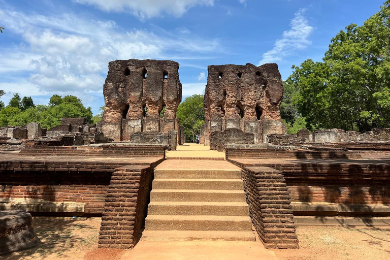 Polonnaruwa Ancient City & Minneriya Safari Full-Day Tour