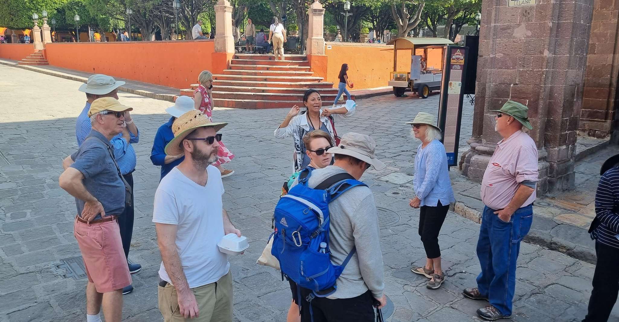 Historical & Cultural Walking Tour of San Miguel de Allende - Housity