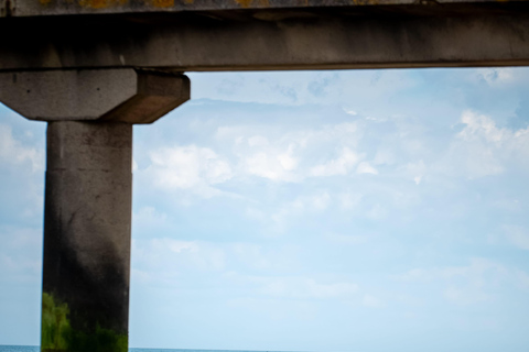 Omaha Beach: Sulky baptism on the beach