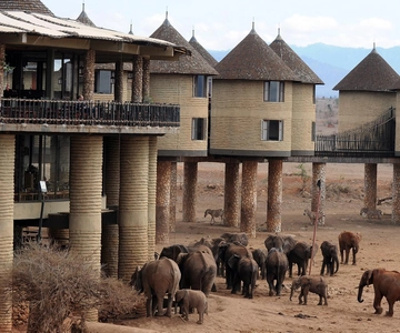 Overnight Saltlick Safari from Mombasa or Diani