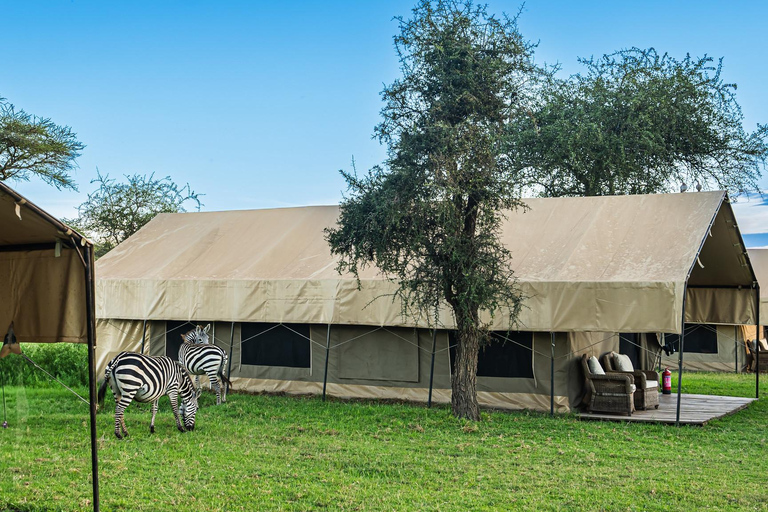 Vanuit Arusha: De 4-daagse safari-expeditie naar Tarangire &amp; Ndutu