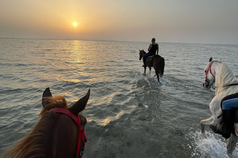 Horse Riding in Jeddah
