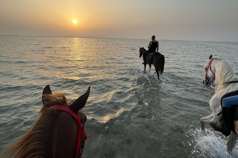 Horse Riding in Jeddah