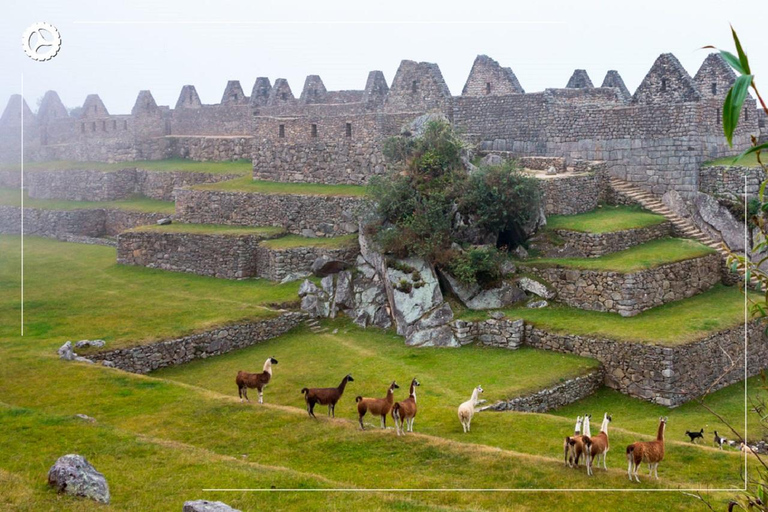 Machu Picchu en bus 2 días