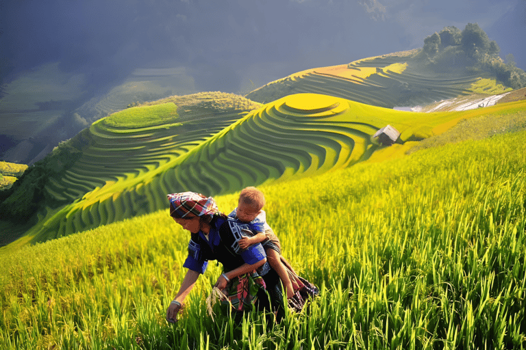 From Hanoi: Visit Sapa 3 Days & See The Terraced Fields Group Tour With A 4-Star Hotel