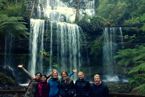 Excursion à Hobart : Parc national et faune du Mont Field