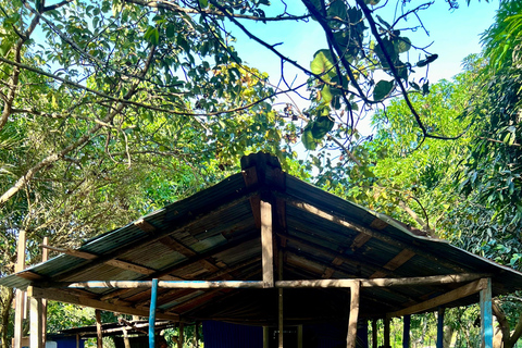 Buggy o zachodzie słońca — cały dzień — mała grupaBuggy o zachodzie słońca – cały dzień – mała grupa